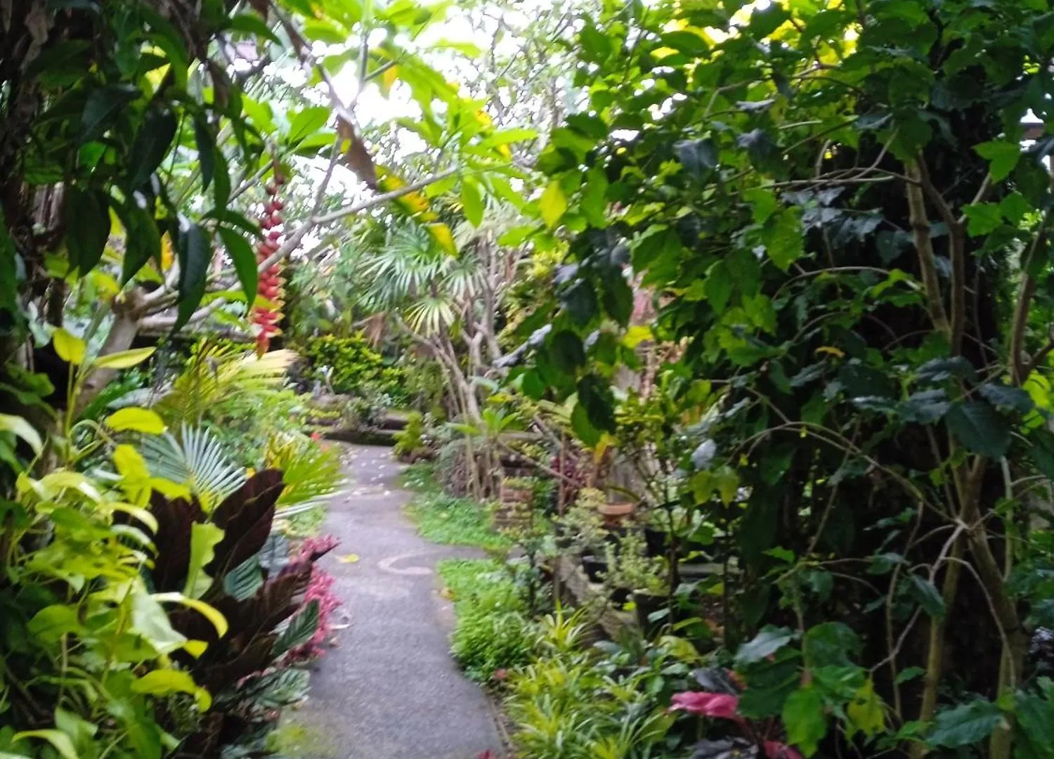 Sari Natah Guest house Ubud 0*,  Indonésie